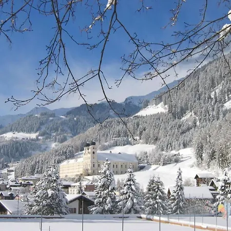 Apartment Gemuetliche Im Disentiserhof